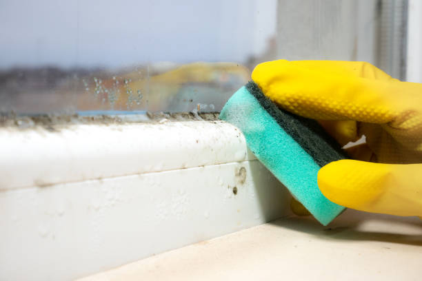 Best Mold Removal for HVAC Installations  in Midway City, CA